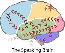 Map of the Speaking Brain