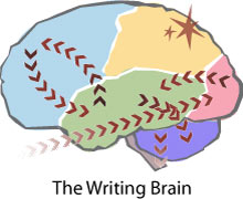 Map of the Writing Brain