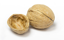 Nutshelling Photo of an open walnut shell