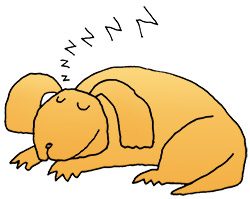 Illustration of sleeping dog