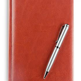 Writing a Diary of a Famous Figure a diary