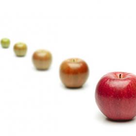 a line of apples transition from unfocused to focused