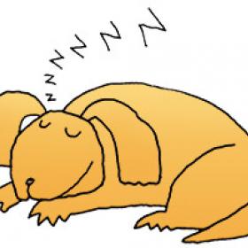 Illustration of sleeping dog