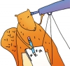 illustration of squirrel looking through a telescope