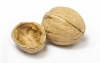 Photo of an open walnut shell